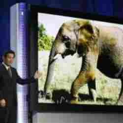 Panasonic Rilis Layar Plasma Terbesar Dunia